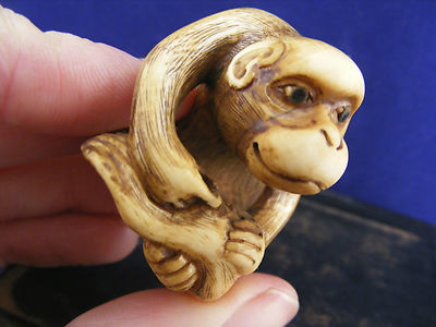 antique netsuke of a seated monkey, carved from ox bone, signed to the bottom.